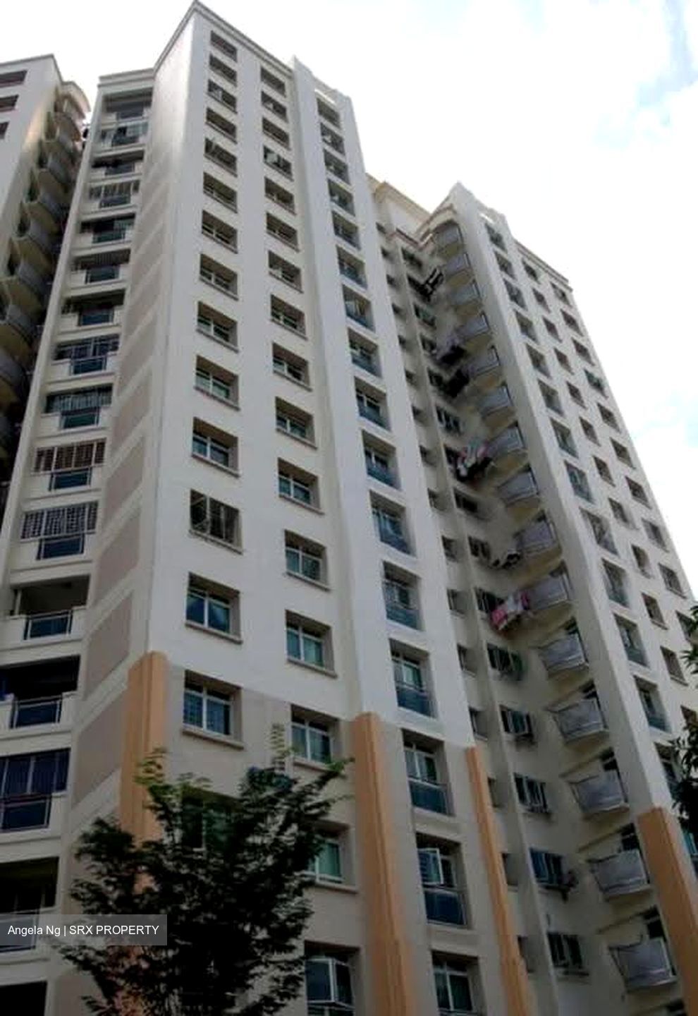 Blk 120B Rivervale Gardens (Sengkang), HDB 4 Rooms #627474201